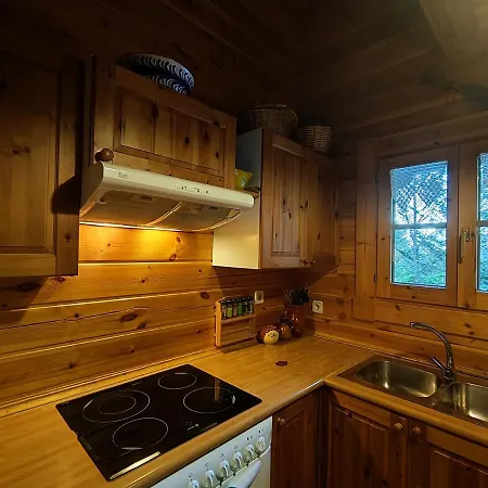 El Pi Solitari Holiday home Camprodon