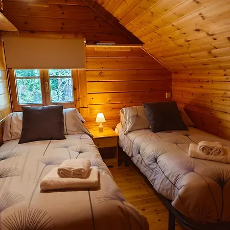 Holiday home El Pi Solitari *